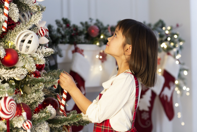 クリスマス　オーナメント